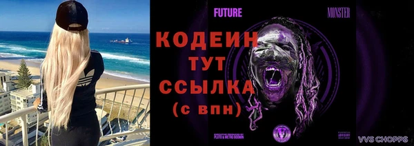 прущие грибы Ладушкин