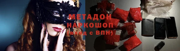 прущие грибы Ладушкин