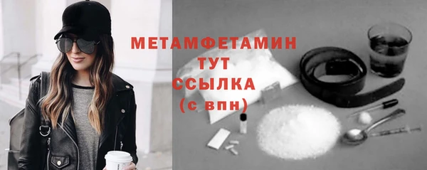 прущие грибы Ладушкин