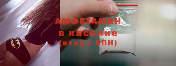 прущие грибы Ладушкин