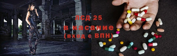 прущие грибы Ладушкин