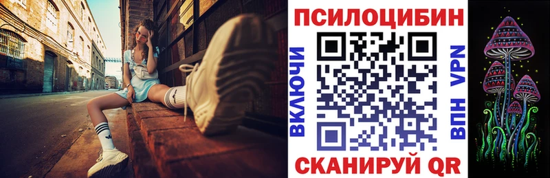 Псилоцибиновые грибы мицелий  Купить закладки  Приозерск 